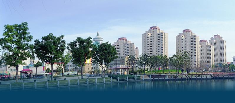 建設(shè)富有中國特色的智慧城市